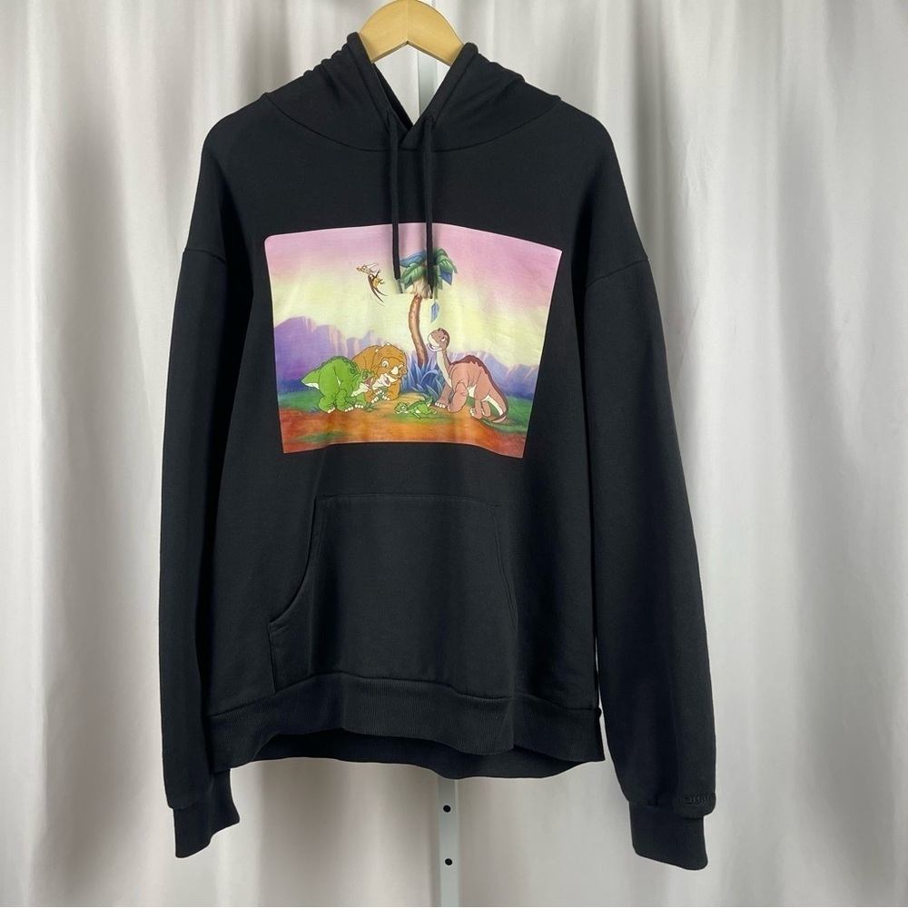 Dumbgood XL Land Before Time 90's Graphic Hoodie Sweatshirt Dinosaurs Cartoon